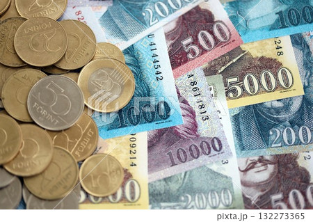 Hungarian Forint currency money bills and coins. HUF currency banknotes and coins close up 132273365