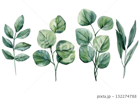 Watercolor Botanical Greenery Composition Eucalyptus Leaf Branches, Hand Painted Natural Foliage Illustration for Floral Design 132274788