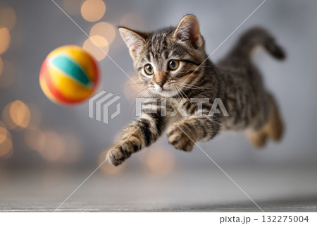 Active kitten leaping toward ball in mid air against blurred background Active kitten leaping toward ball in mid air against blurred background 132275004