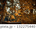 秋の森で佇む服を着たキツネ 132275440