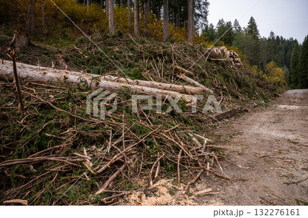 Deforestation and logging debris with fallen trees and branches in mountain forest area Deforestation and logging debris with fallen trees and branches in mountain forest area 132276161