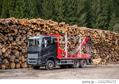 Logging truck parked near large pile of cut tree logs in forest area ready for transportation 132276172