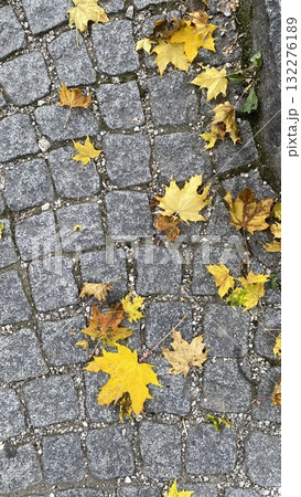 Yellow autumn leaves on stone pavement background Yellow autumn leaves on stone pavement background 132276189
