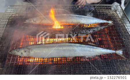 秋刀魚(さんま)を炭火で網焼き 秋刀魚(さんま)を炭火で網焼き 132276501