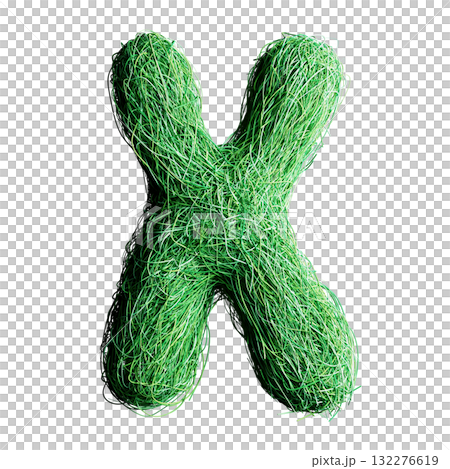 Eco Letter X Made of Green Grass Lines 132276619