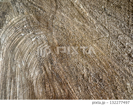 Cut tree trunk background. Timber texture closeup. 132277497
