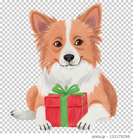 犬がクリスマスプレゼントを持っている 132278298