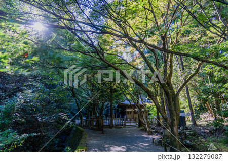 虎渓山永保寺境内の景色 虎渓山永保寺境内の景色 132279087