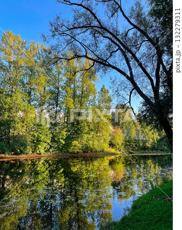 Pond surrounded by greenery in a city park. Reflection of trees and clouds in still water surface. Summer sunny day. Pond surrounded by greenery in a city park. Reflection of trees and clouds in still water surface. Summer sunny day. 132279311