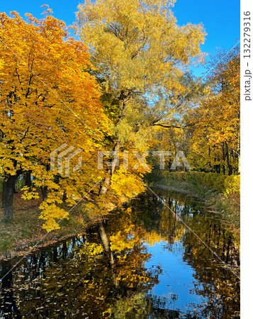 Serene pond reflects golden autumn foliage, surrounded by tall trees in vibrant colors. Peaceful natural scene. Seasonal nature background. Park in sunny fall day. Serene pond reflects golden autumn foliage, surrounded by tall trees in vibrant colors. Peaceful natural scene. Seasonal nature background. Park in sunny fall day. 132279316