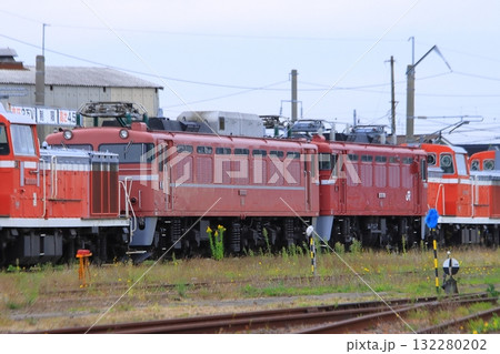 イベント列車やブルートレイン牽引で活躍した東日本機関車たち@秋田総合車両センター2025/10/18 132280202