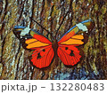 Butterfly on a tree trunk 132280483