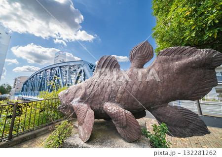「東京都」西深川橋　深川の街の風景　江東区 132281262