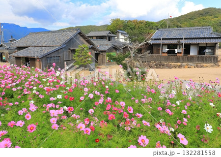 【香川県】晴天の二十四の瞳映画村（小豆島） 132281558