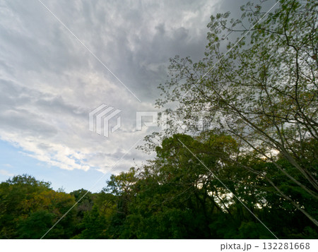 アウトドアリクリエイション 秋の森を歩く アウトドアリクリエイション 秋の森を歩く 132281668