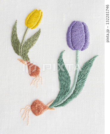 球根がついたチューリップ 132281746
