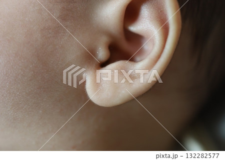 やわらかな耳のぬくもり 132282577