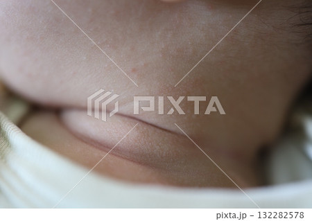 やわらかな命の質感 132282578