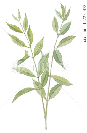 水彩で描いたヘナ　ヘンナ 132283472