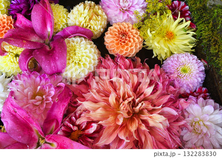 草津温泉　白根神社の花手水（群馬県吾妻郡草津町草津） 132283830