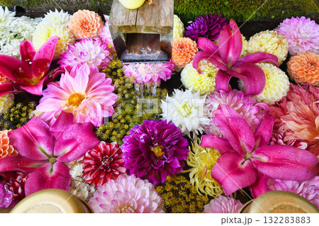 草津温泉 白根神社の花手水(群馬県吾妻郡草津町草津) 草津温泉 白根神社の花手水(群馬県吾妻郡草津町草津) 132283883