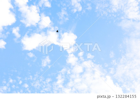 青空と白い雲、悠々と飛ぶ鳥のシルエット 青空と白い雲、悠々と飛ぶ鳥のシルエット 132284155