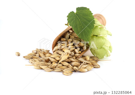 Close-Up of Barley Grains with Hops and Fresh Leaf Close-Up of Barley Grains with Hops and Fresh Leaf 132285064