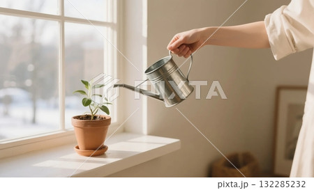 冬の日差しの中、室内の鉢植えに水をあげるブリキのジョウロ 132285232