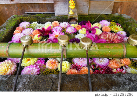 草津温泉　白根神社の花手水（群馬県吾妻郡草津町草津） 132285286
