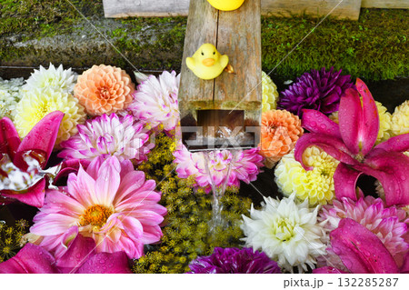 草津温泉　白根神社の花手水（群馬県吾妻郡草津町草津） 132285287