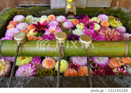 草津温泉　白根神社の花手水（群馬県吾妻郡草津町草津） 132285288