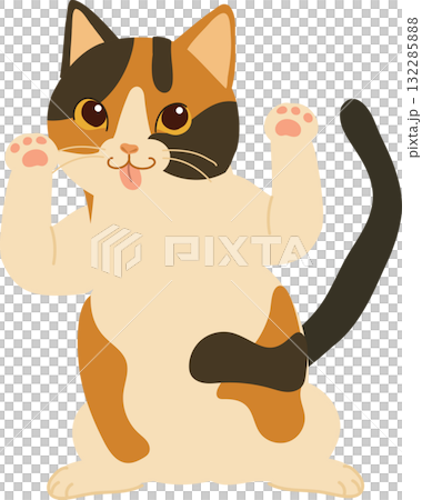 kawaii chubby kitten with paws up and tongue out. playful cute calico cat kawaii chubby kitten with paws up and tongue out. playful cute calico cat 132285888