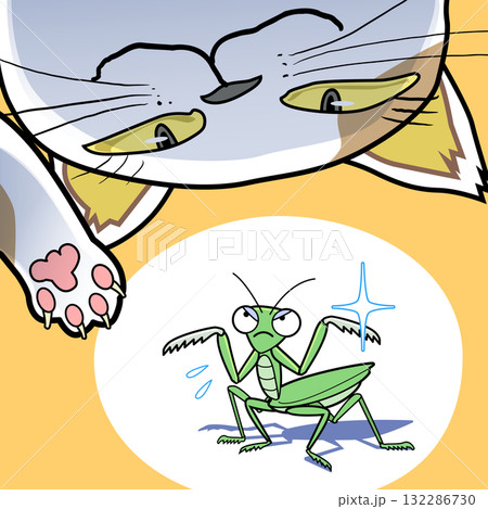 ことわざ - 蟷螂の斧 132286730