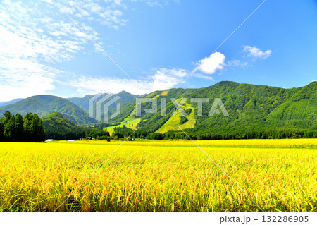 白馬五竜スキー場方面を望む(長野県白馬村)【2025.9】 白馬五竜スキー場方面を望む(長野県白馬村)【2025.9】 132286905