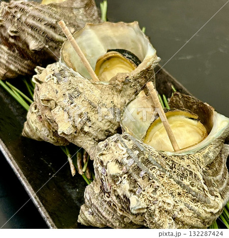 樹木を仰ぎ見る 樹木を仰ぎ見る 132287424