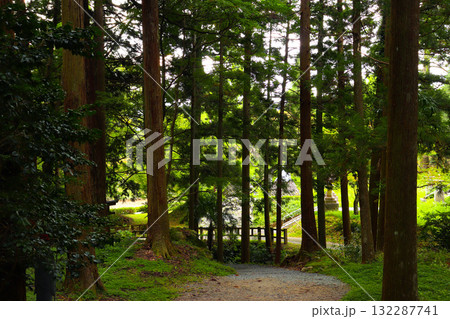 若狭瓜割名水公園 132287741