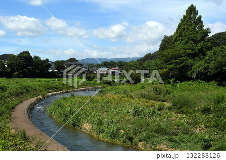 盛夏の都幾川、涼やかな水辺の遊歩道 132288126