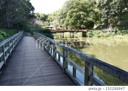 亀山公園の池と桟橋風遊歩道 亀山公園の池と桟橋風遊歩道 132288847