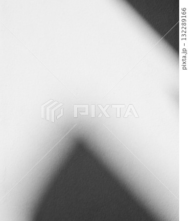 Shadow Background Abstract Leave Overlay Wall Floor Light Effect White Plant Sunlight Backdrop Mockup Minimal Spring Summer Nature Grey blur Photography Scene Template Poster Card Frame Product. Shadow Background Abstract Leave Overlay Wall Floor Light Effect White Plant Sunlight Backdrop Mockup Minimal Spring Summer Nature Grey blur Photography Scene Template Poster Card Frame Product. 132289166