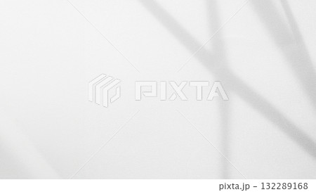 Shadow Background Abstract Leave Overlay Wall Floor Light Effect White Plant Sunlight Backdrop Mockup Minimal Spring Summer Nature Grey blur Photography Scene Template Poster Card Frame Product. Shadow Background Abstract Leave Overlay Wall Floor Light Effect White Plant Sunlight Backdrop Mockup Minimal Spring Summer Nature Grey blur Photography Scene Template Poster Card Frame Product. 132289168