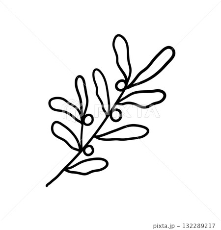 Branch of mistletoe with berries. Hand drawn illustration in line style. Branch of mistletoe with berries. Hand drawn illustration in line style. 132289217