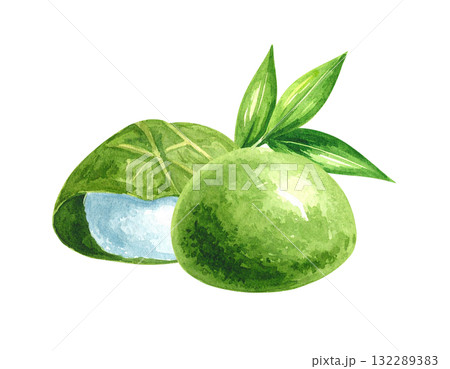 和菓子のイラスト素材 和菓子のイラスト素材 132289383