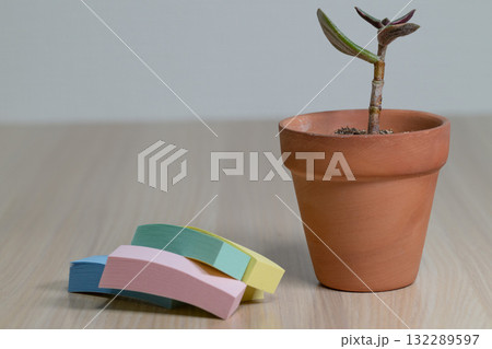 カラフルな付箋とテラコッタ鉢の小さな植物 132289597