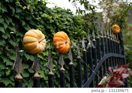 ハロウイン 132289675