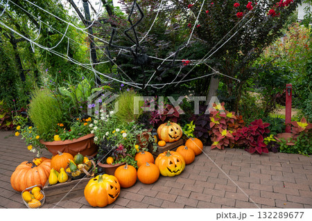 ハロウイン 132289677