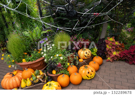 ハロウイン ハロウイン 132289678