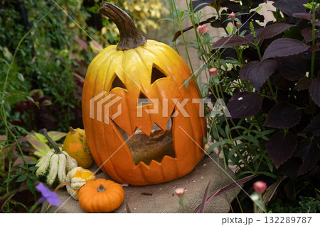 ハロウイン ハロウイン 132289787