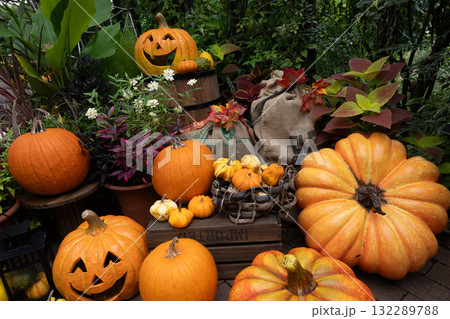 ハロウイン 132289788