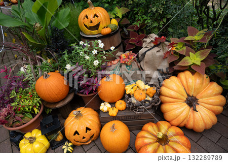 ハロウイン ハロウイン 132289789