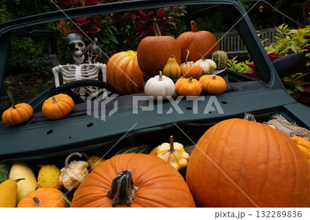 ハロウイン ハロウイン 132289836